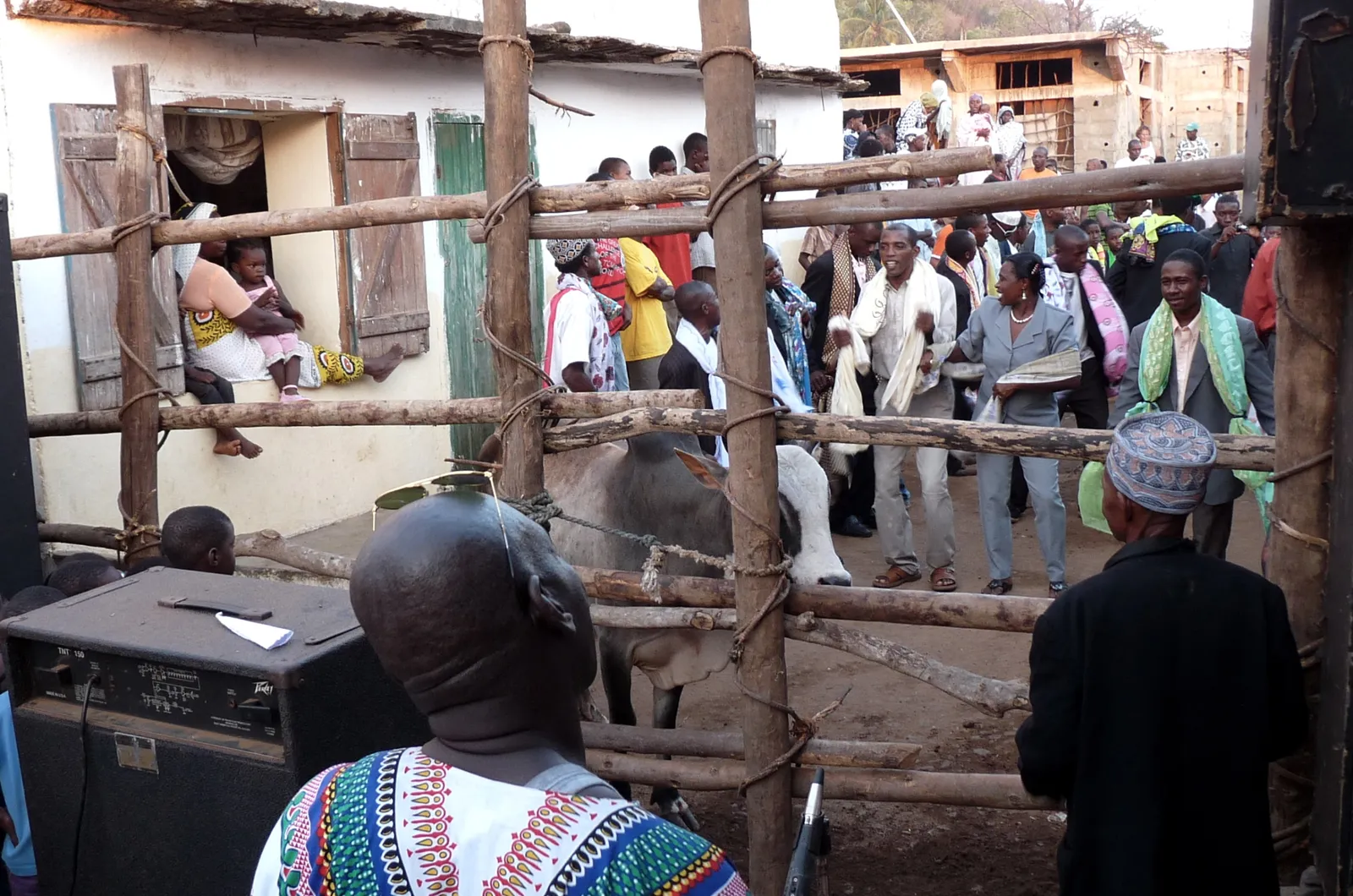 Ngoma Yagnombe - Tam Tam de Bœuf